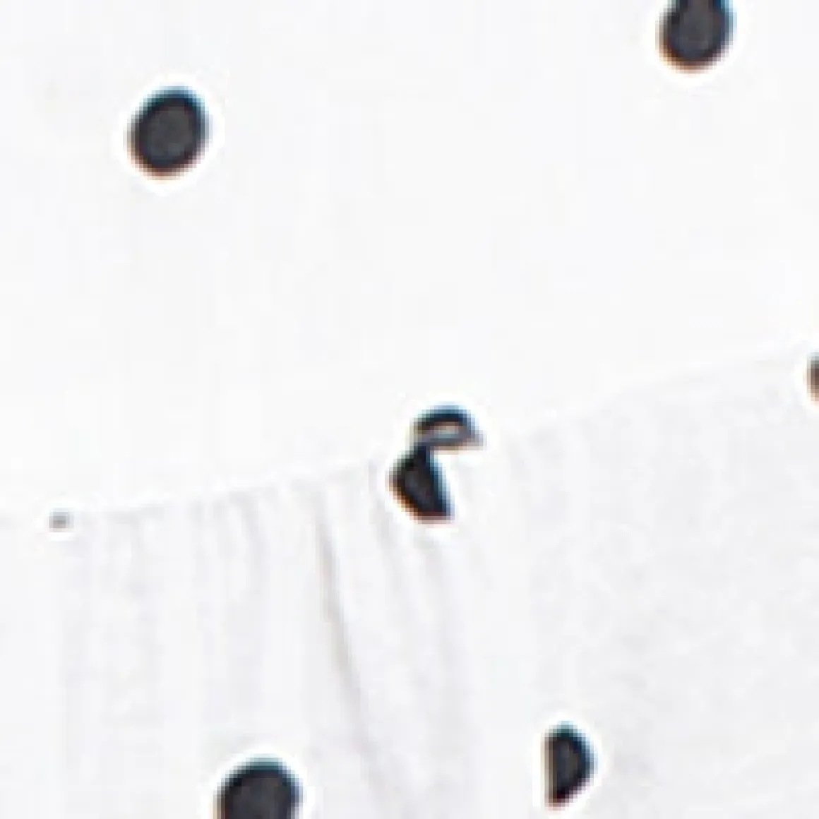 Short-sleeve loose blouse with buttons