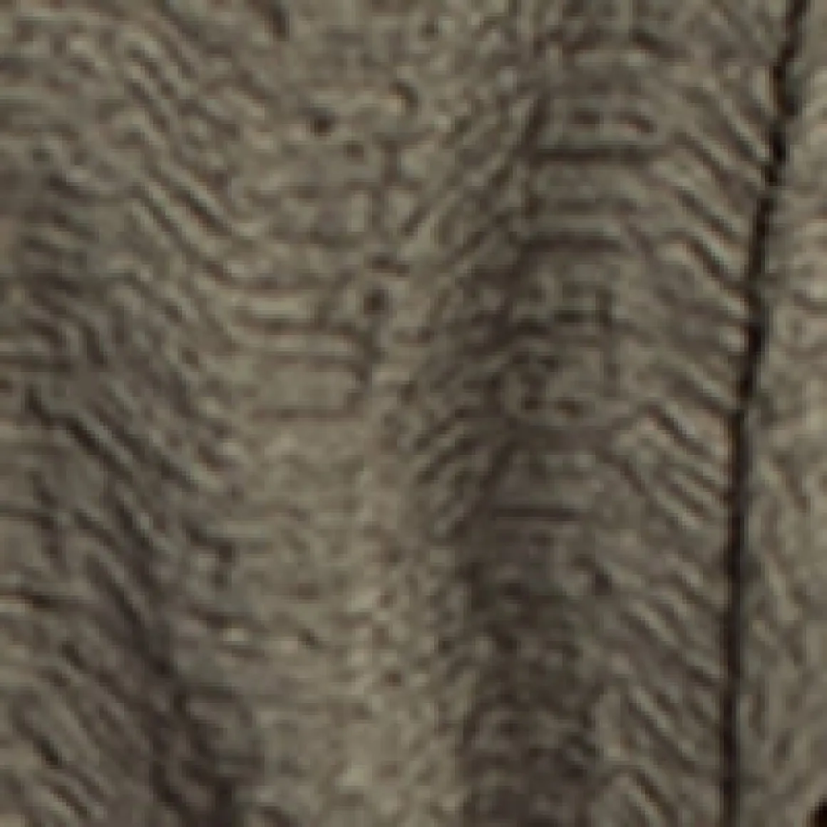 Short-sleeve semi-fitted blouse with buttons