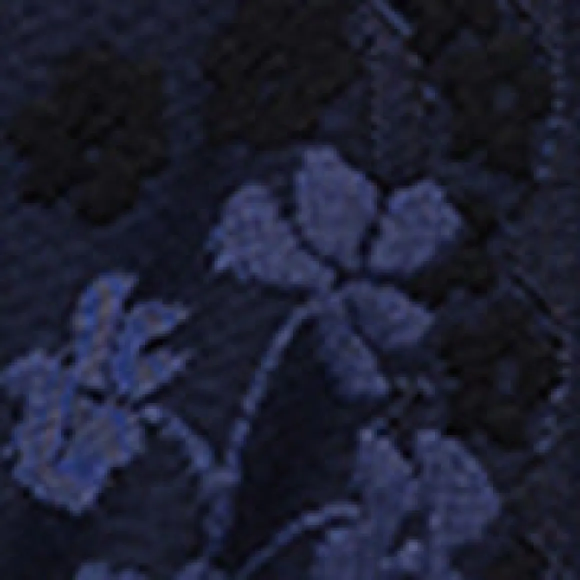 Short-sleeve semi-fitted t-shirt