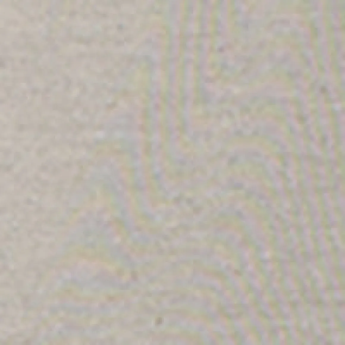Short-sleeve semi-fitted t-shirt
