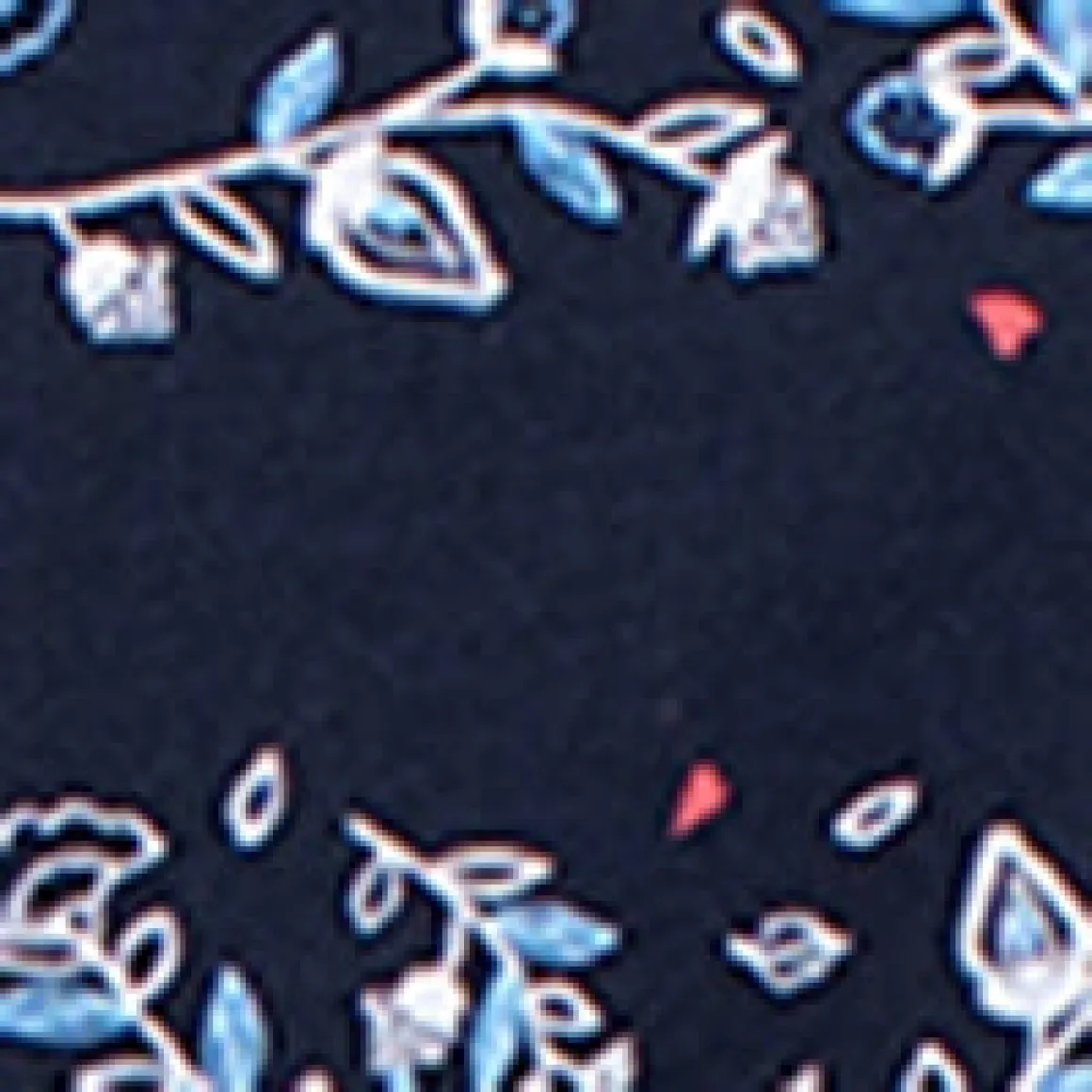Short-sleeve semi-fitted t-shirt