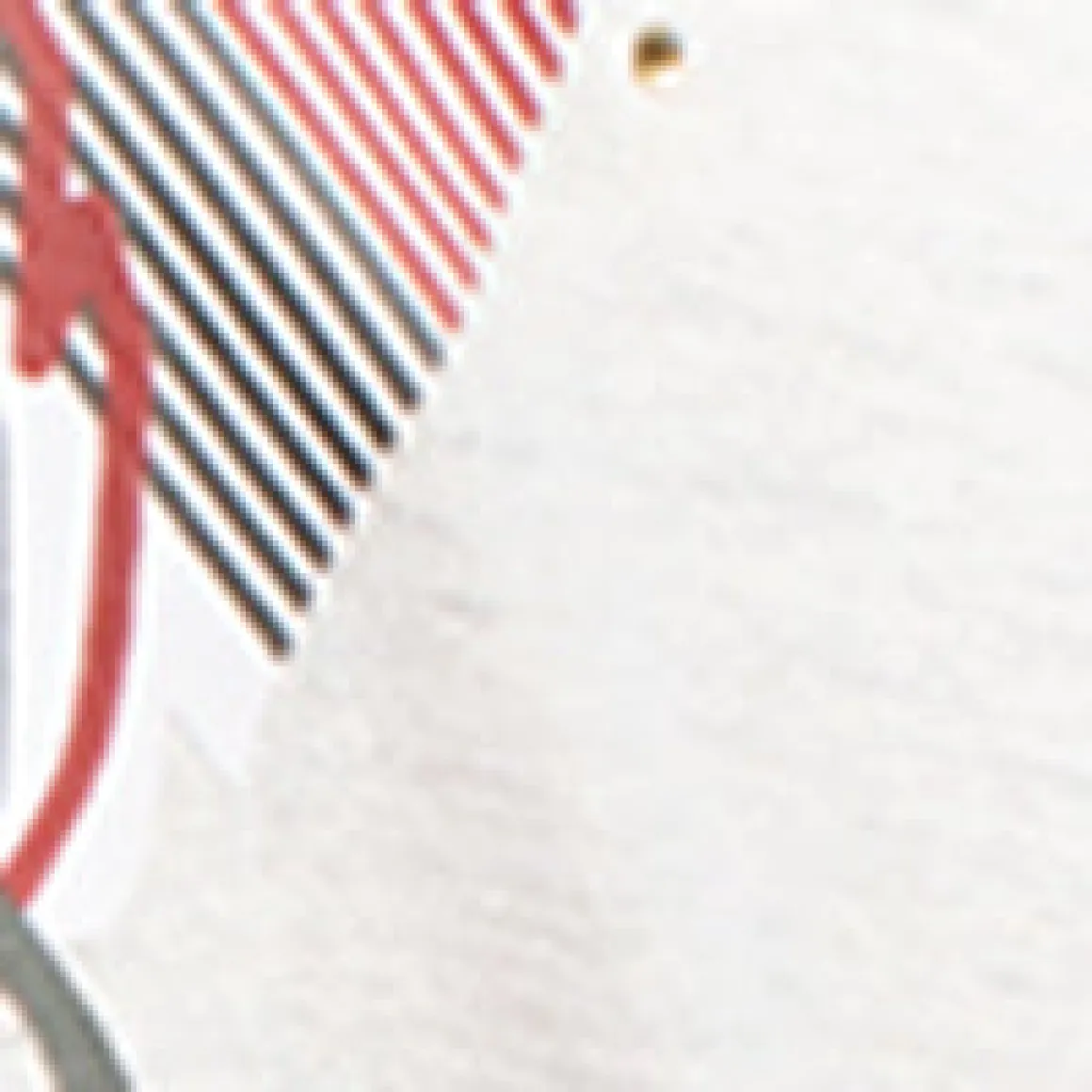 Short-sleeve semi-fitted t-shirt