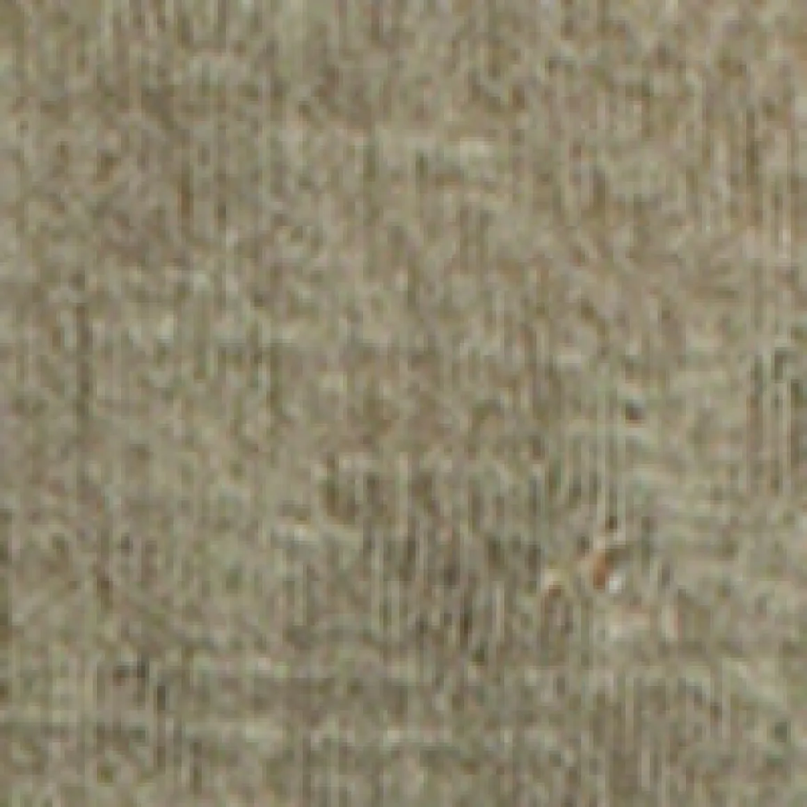 Short-sleeve semi-fitted t-shirt