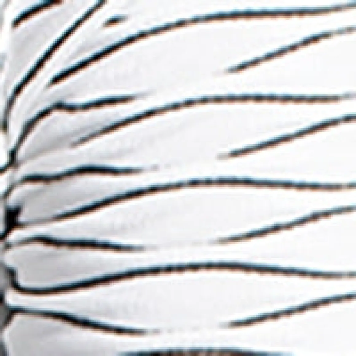 Short-sleeve semi-fitted t-shirt