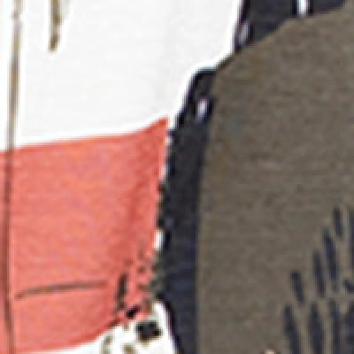 Short-sleeve semi-fitted t-shirt