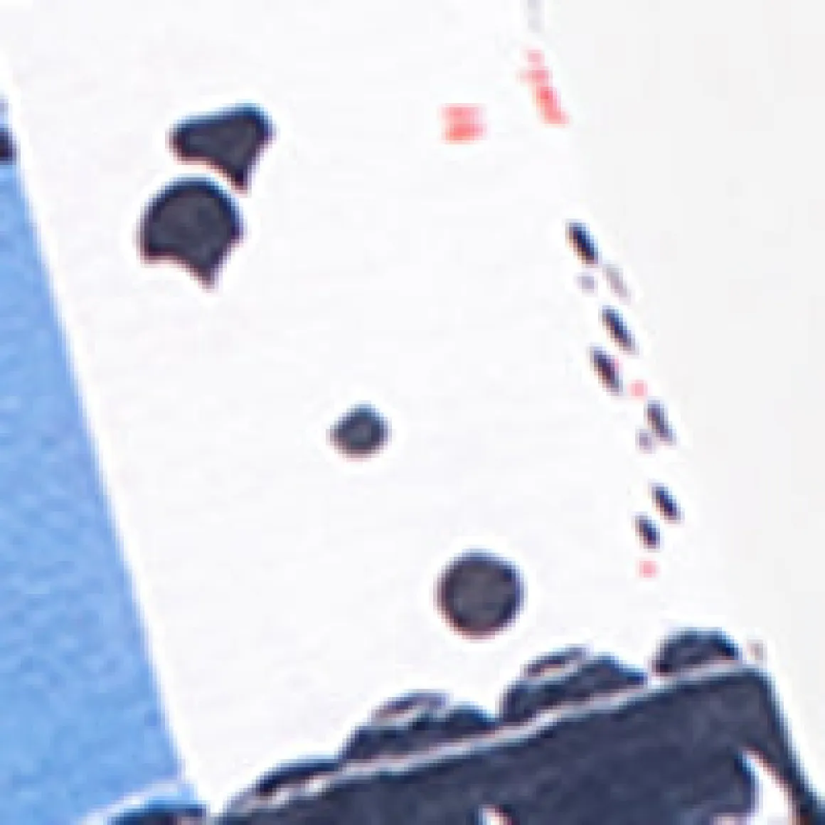 Short-sleeve semi-fitted t-shirt
