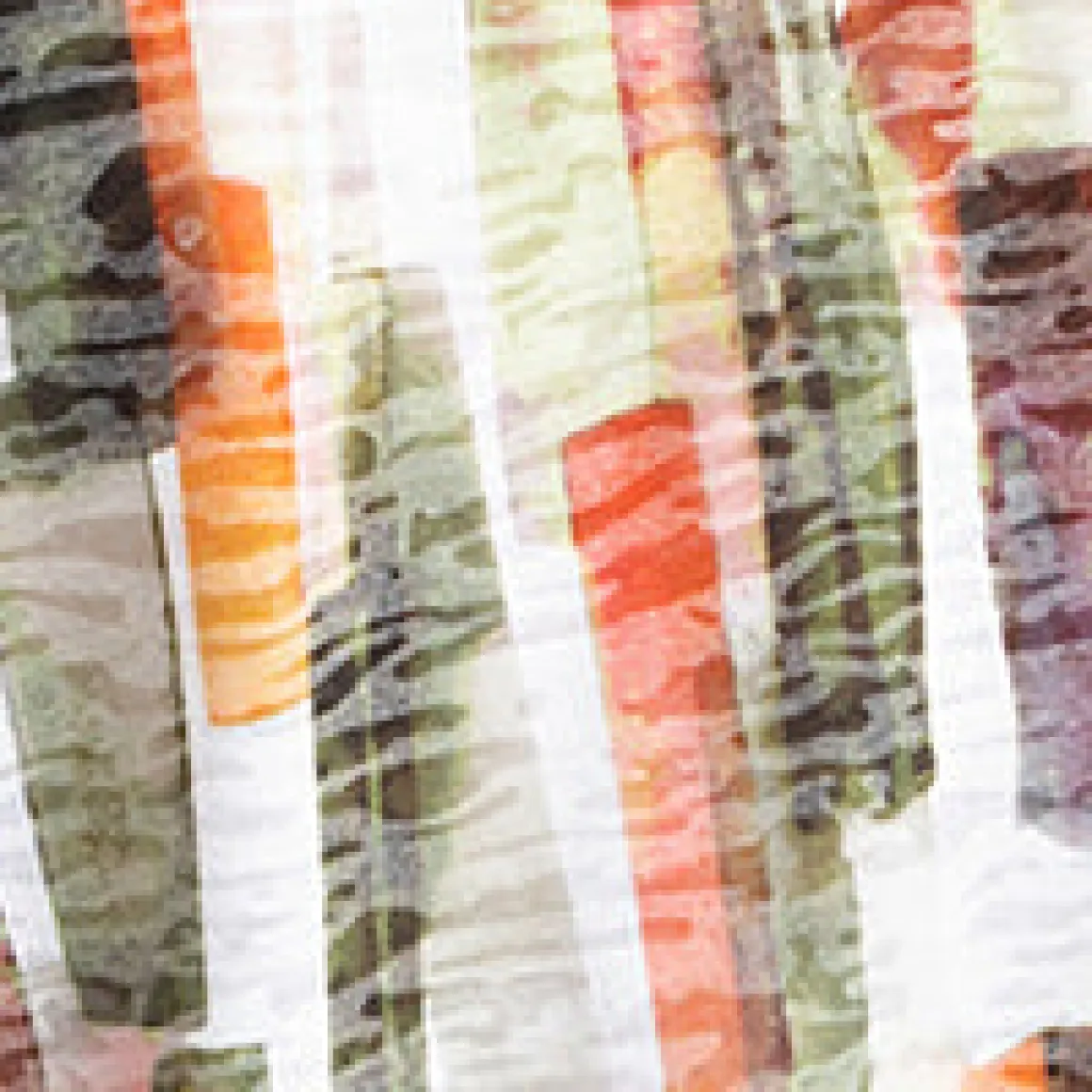 Short-sleeve semi-fitted tunic