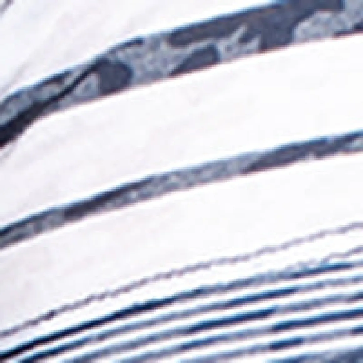 Short-sleeve semi-fitted tunic