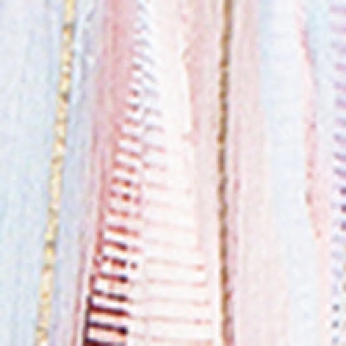 3/4-sleeve loose blouse