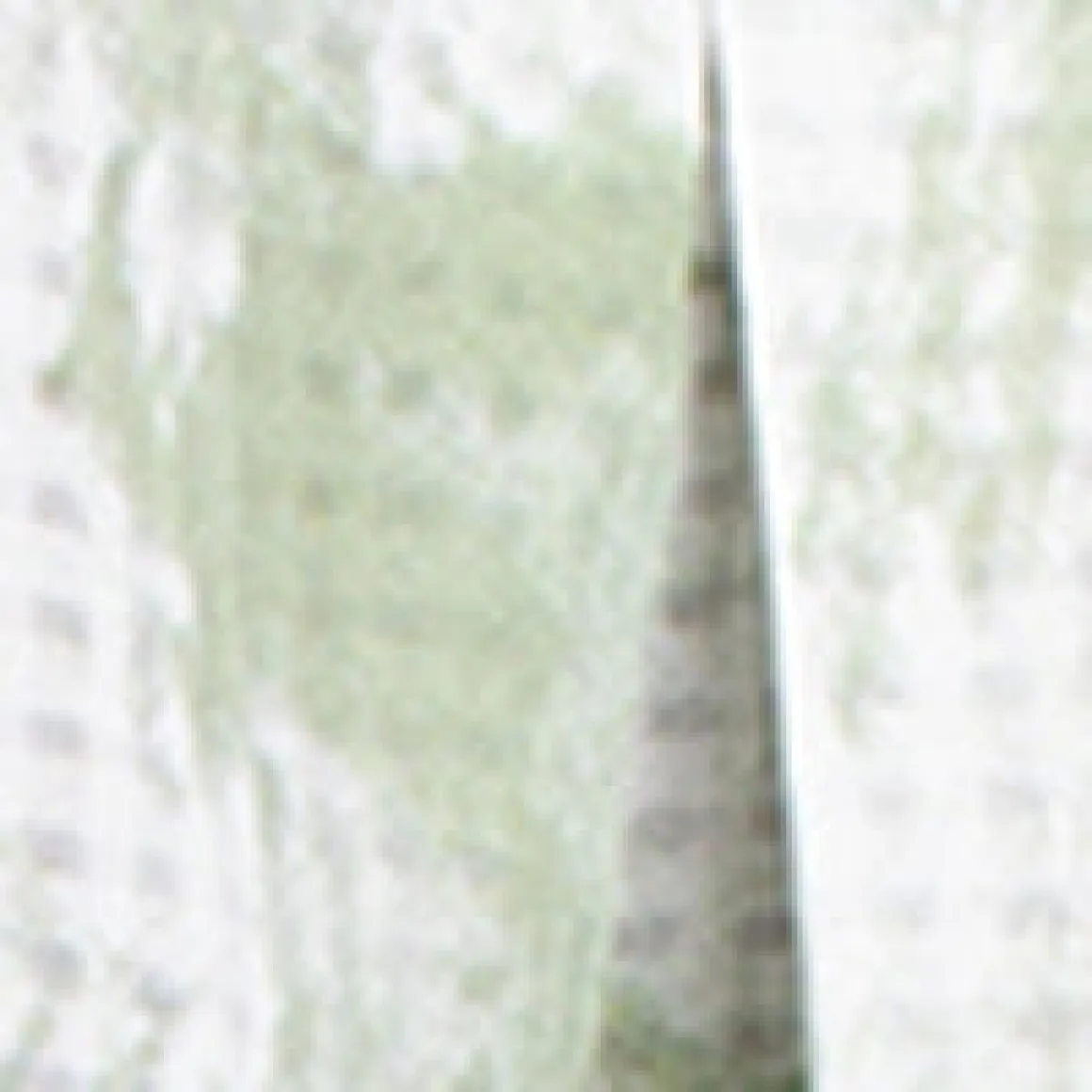 3/4-sleeve semi-fitted tunic length blouse with buttons